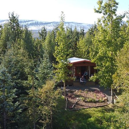 Bakkakot 1 - Cozy Cabins In The Woods Akureyri Ngoại thất bức ảnh