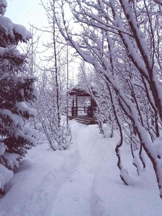 Bakkakot 1 - Cozy Cabins In The Woods Akureyri Ngoại thất bức ảnh