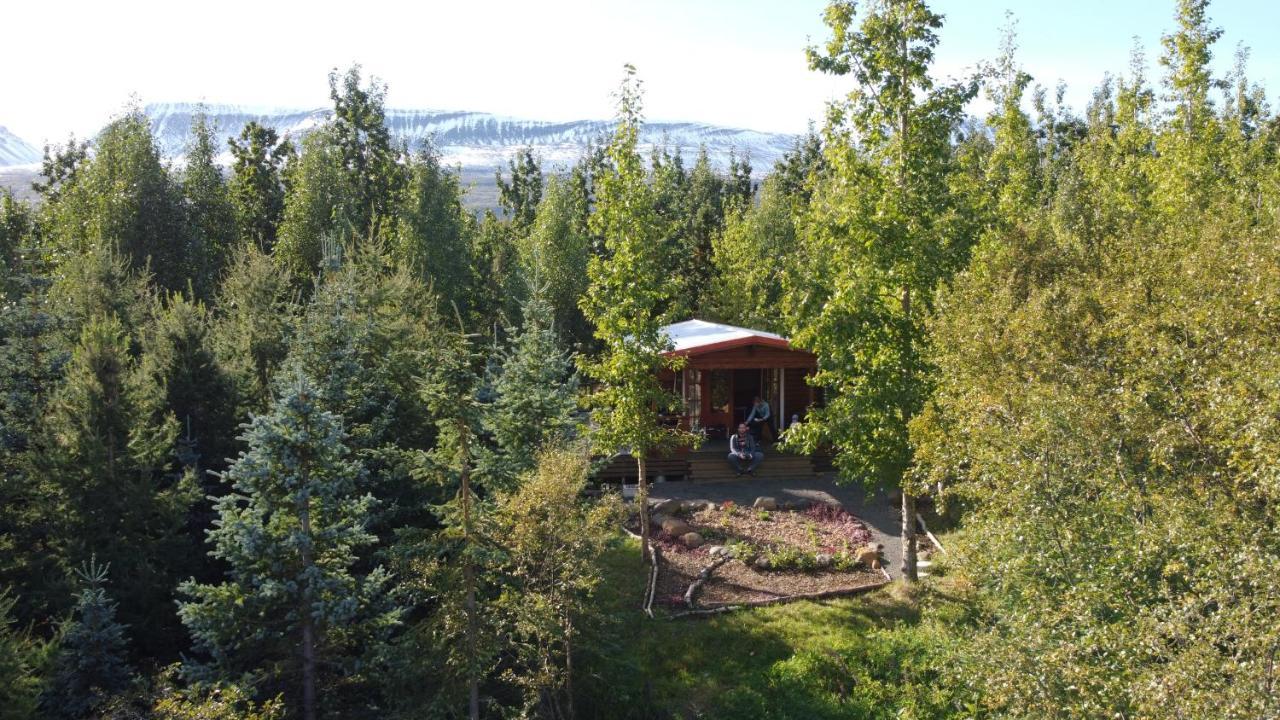 Bakkakot 1 - Cozy Cabins In The Woods Akureyri Ngoại thất bức ảnh