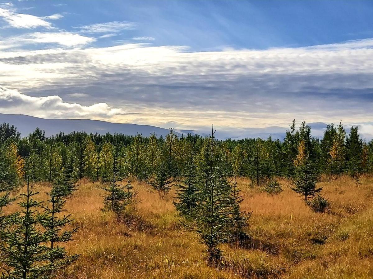 Bakkakot 1 - Cozy Cabins In The Woods Akureyri Ngoại thất bức ảnh