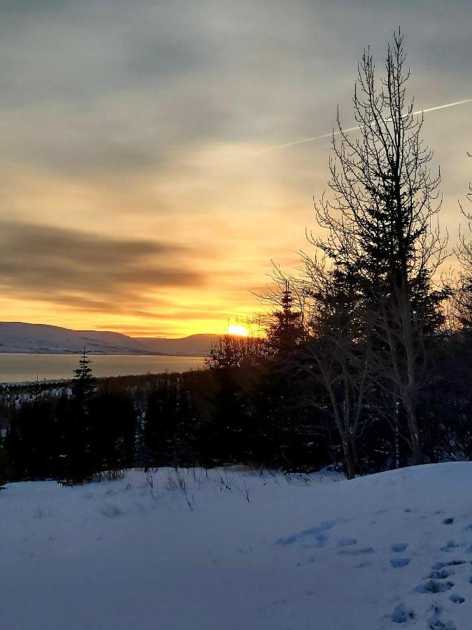 Bakkakot 1 - Cozy Cabins In The Woods Akureyri Ngoại thất bức ảnh