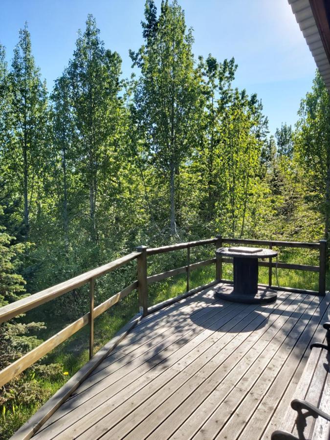Bakkakot 1 - Cozy Cabins In The Woods Akureyri Ngoại thất bức ảnh