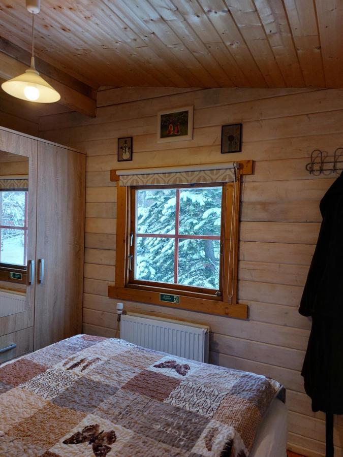 Bakkakot 1 - Cozy Cabins In The Woods Akureyri Ngoại thất bức ảnh