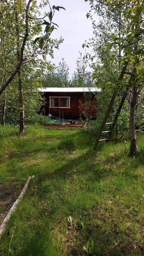 Bakkakot 1 - Cozy Cabins In The Woods Akureyri Ngoại thất bức ảnh